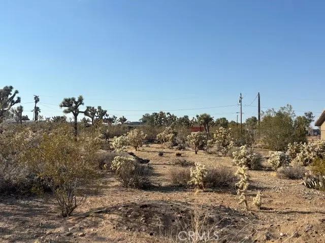 Yucca Valley, CA 92284,0 Sun Via DR