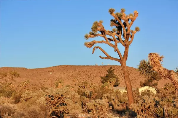 Yucca Valley, CA 92284,5374 Marvin DR