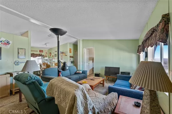 Johnson Valley, CA 92285,48232 Quailbush