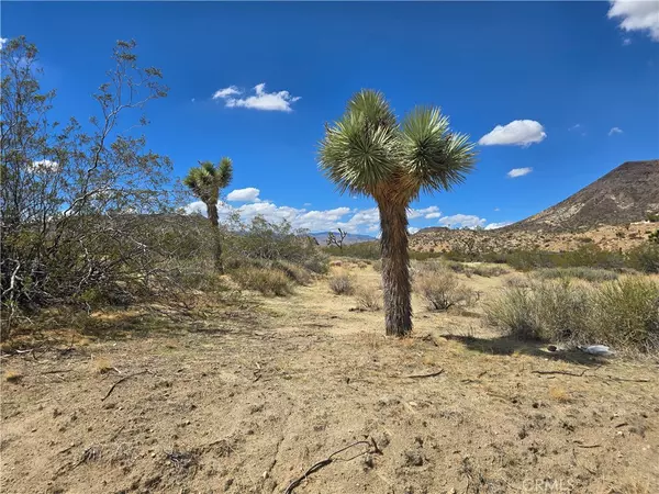 Pioneertown, CA 92268,0 Pipes Canyon