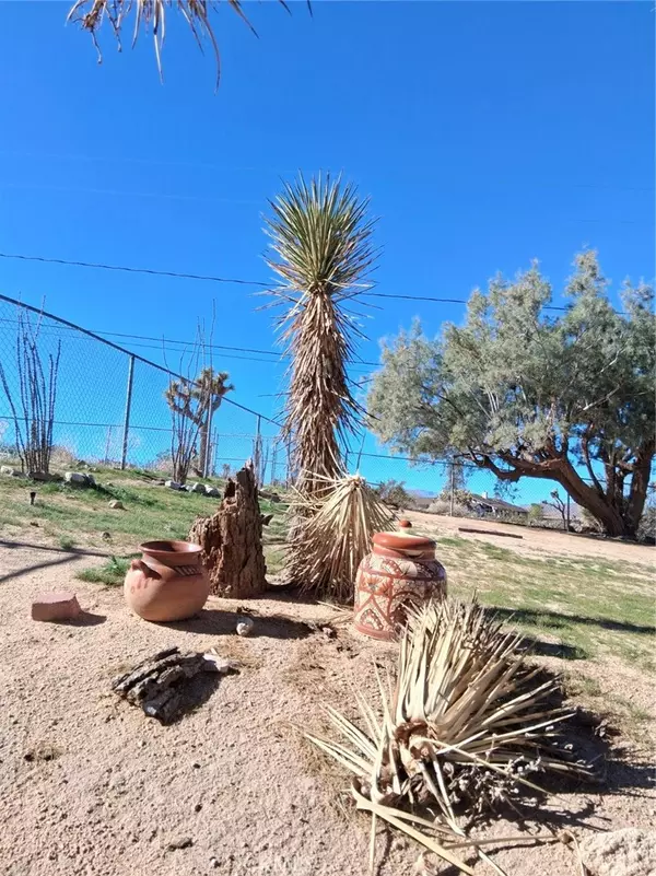 Joshua Tree, CA 92252,6896 Conejo