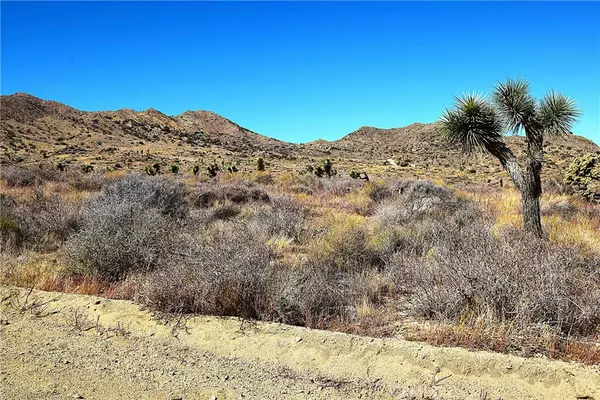 Yucca Valley, CA 92284,0 Off Elata