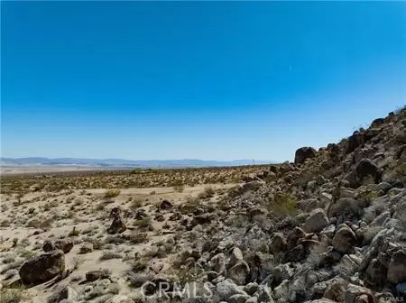 29 Palms, CA 92277,0 Jackass