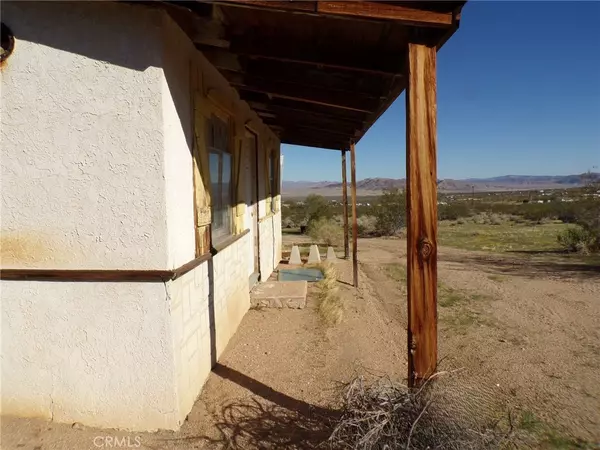 Johnson Valley, CA 92285,0 Cholla