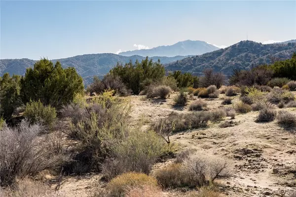 Morongo Valley, CA 92256,0 Magnolia DR