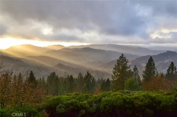 Cobb, CA 95426,8973 Fox DR