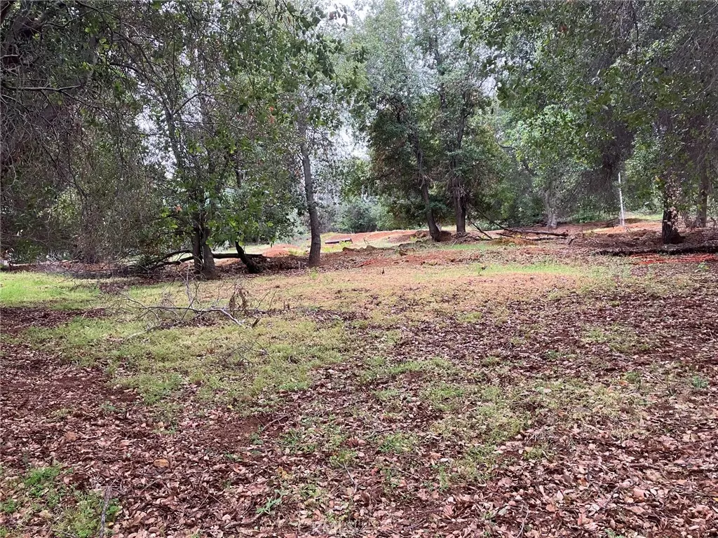 Kelseyville, CA 95451,3153 Southlake DR