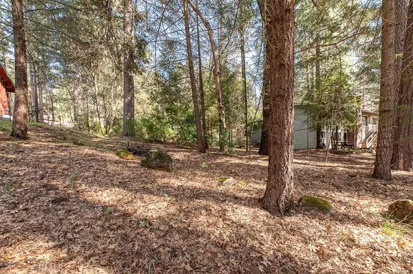 Cobb, CA 95426,16151 Golf RD