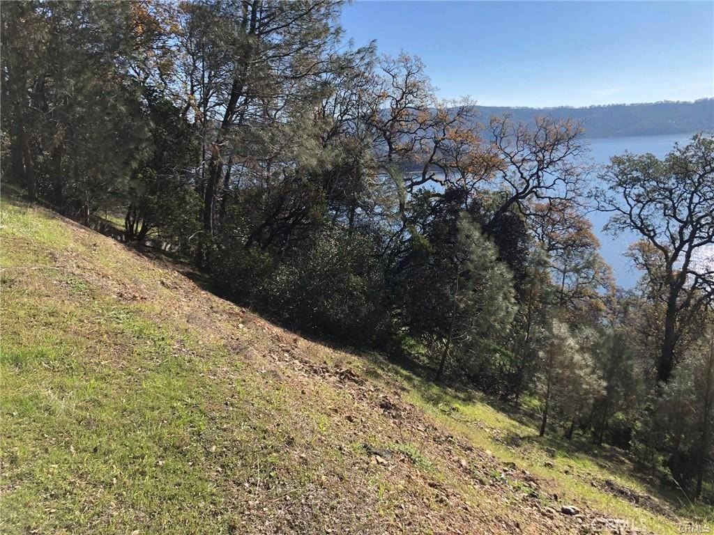 Clearlake Oaks, CA 95423,11725 Lakeview DR