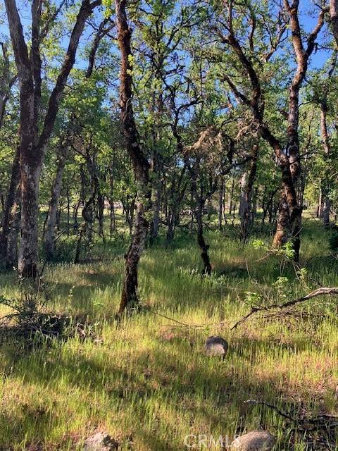 16073 13th AVE, Clearlake, CA 95422