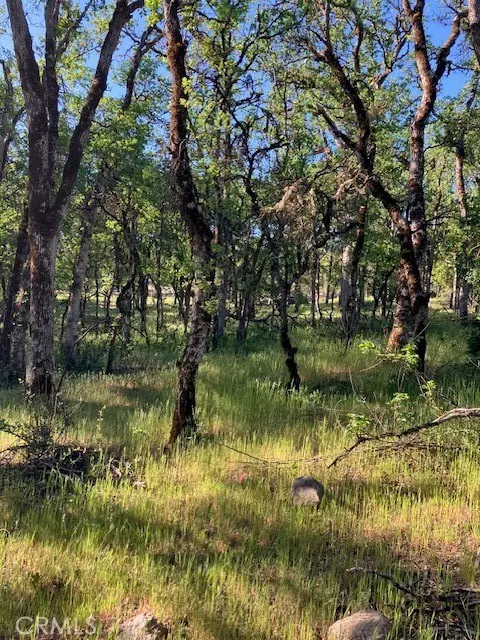 Clearlake, CA 95422,16073 13th AVE