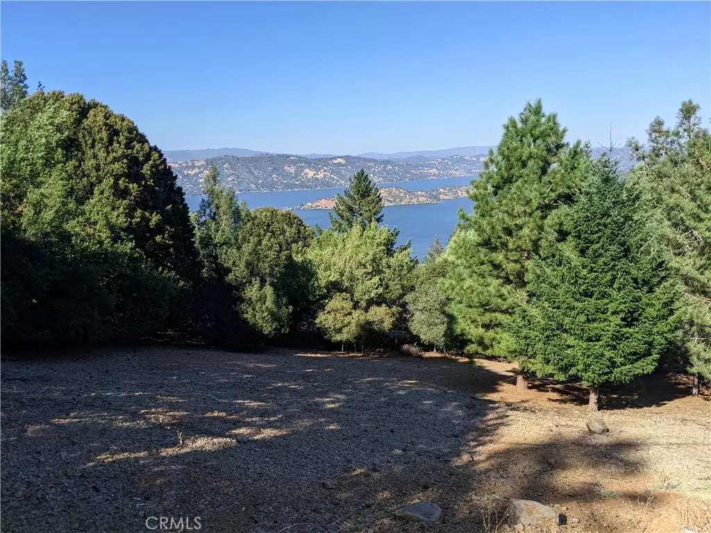 Kelseyville, CA 95451,8196 Broadview DR