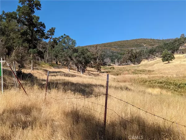 Clearlake Oaks, CA 95423,1565 Old Long Valley RD