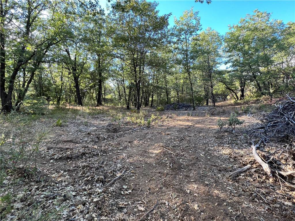 Kelseyville, CA 95451,9204 Diamond Dust TRL