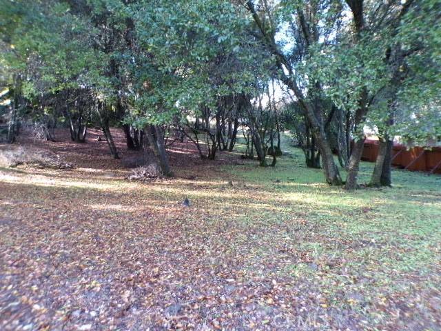Kelseyville, CA 95451,10743 Boren Bega DR