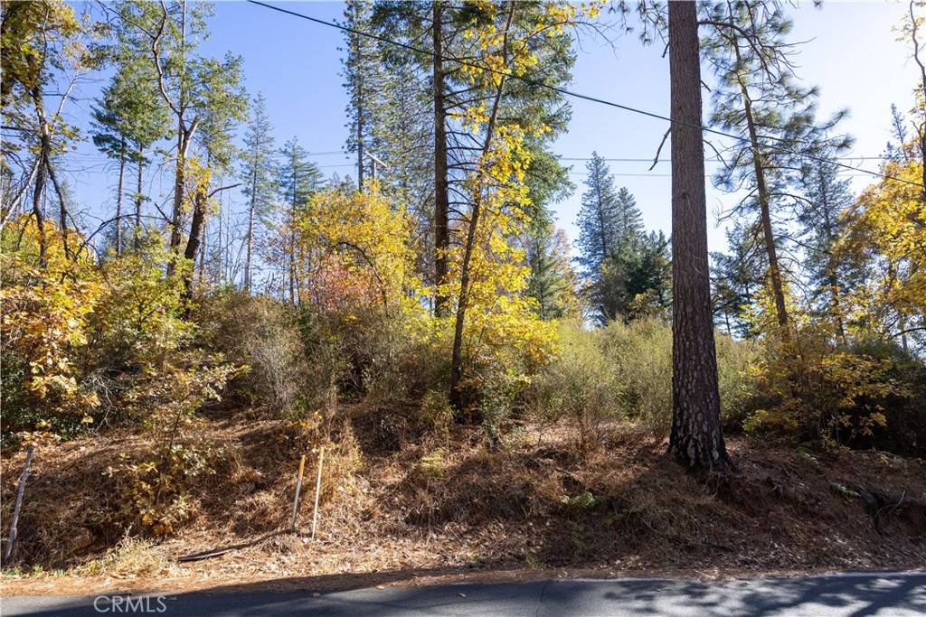 Cobb, CA 95426,10991 Gifford Springs RD