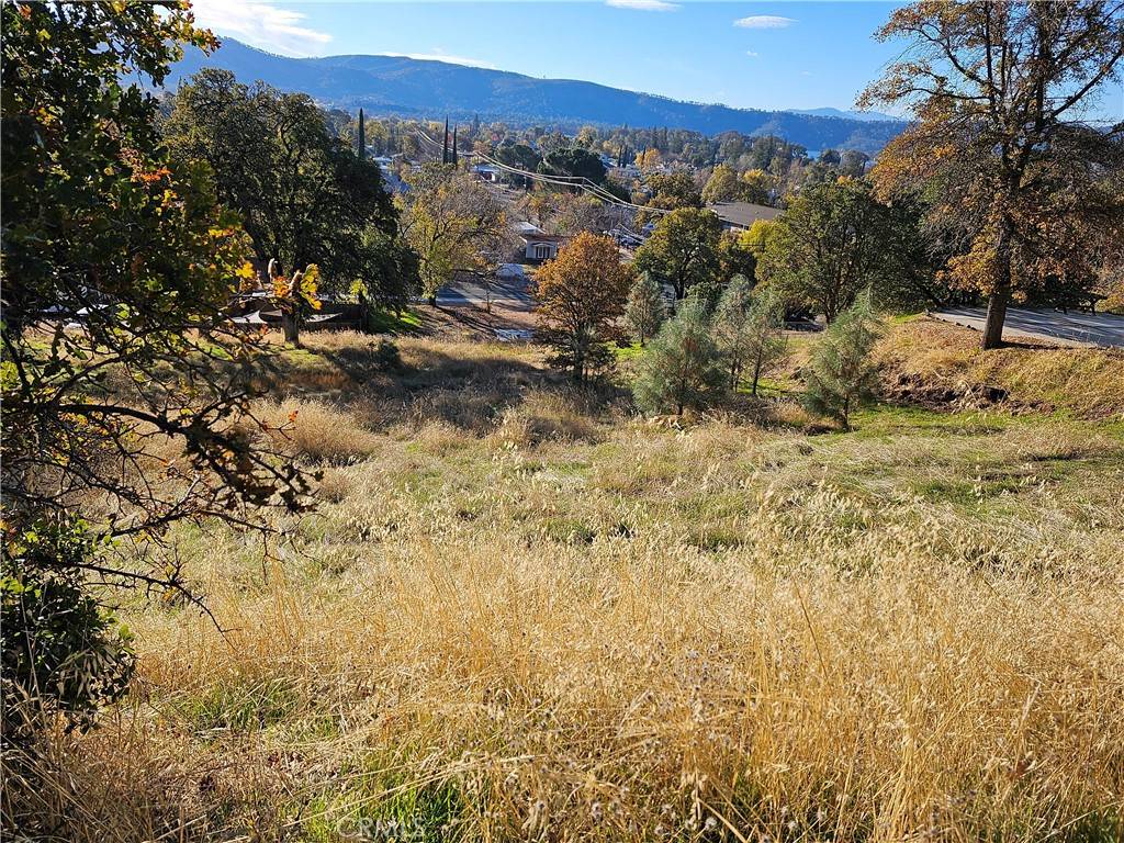 Clearlake Oaks, CA 95423,12831 Lakeview DR