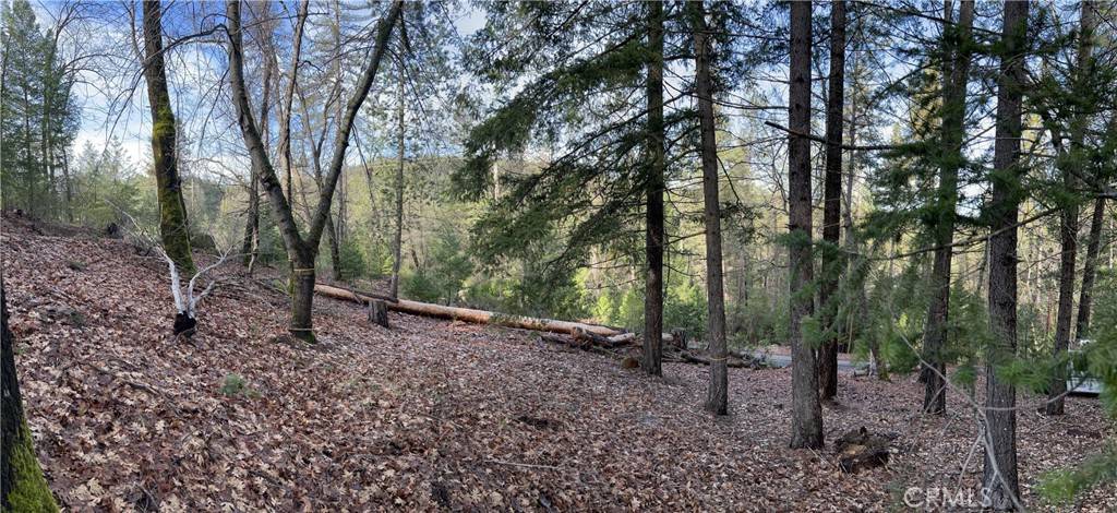 Loch Lomond, CA 95461,10280 Mulberry ST