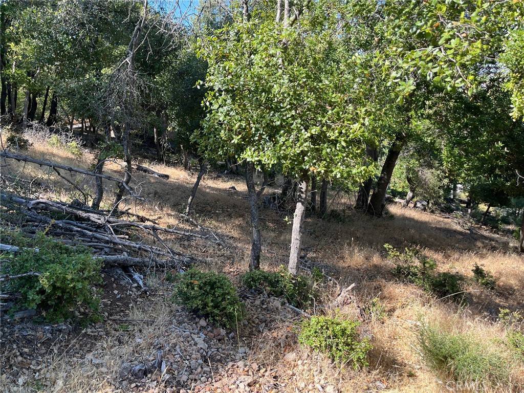 Kelseyville, CA 95451,3599 Pine Terrace DR
