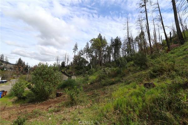 Middletown, CA 95461,11541 Anderson Springs RD