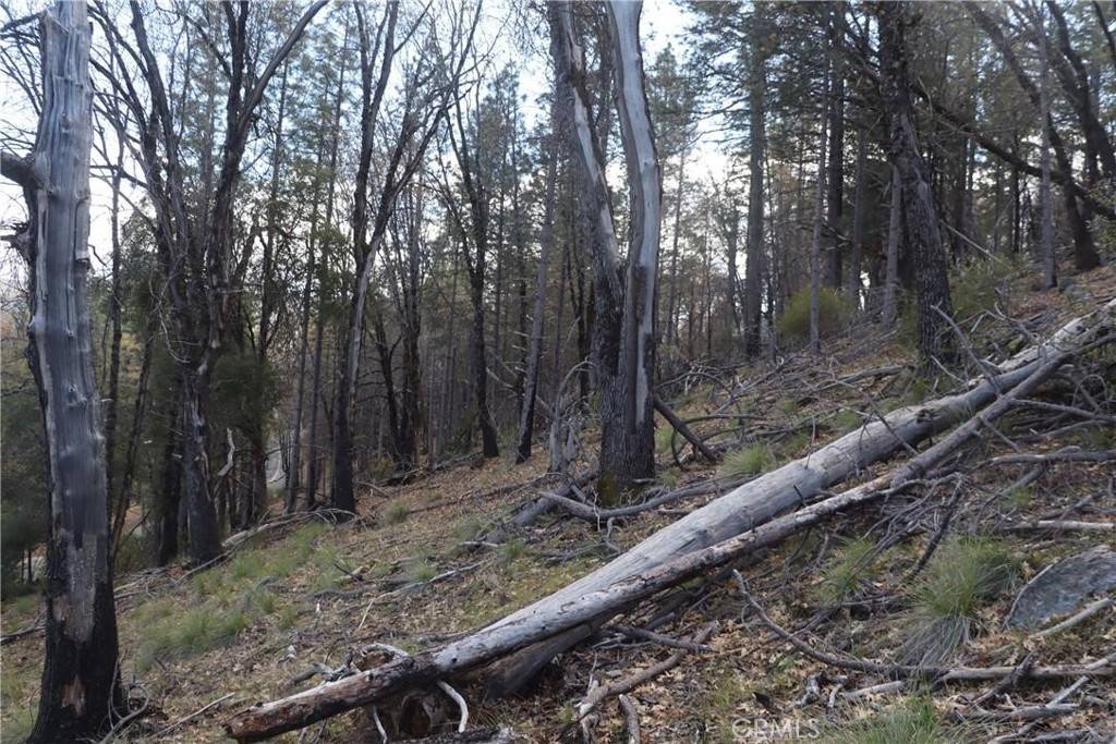 Loch Lomond, CA 95461,11256 Loch Lomond RD