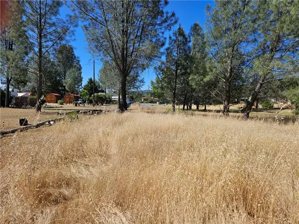 Clearlake Oaks, CA 95423,2699 Kumquat WAY