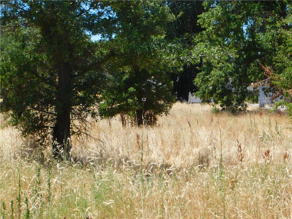 Lower Lake, CA 95457,16523 Ellen Springs RD