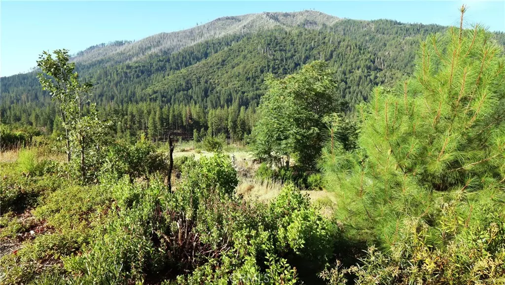 15645 Summit DR, Cobb, CA 95426