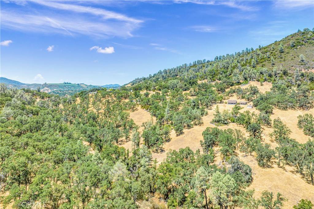 Lower Lake, CA 95457,17063 Hofacker LN