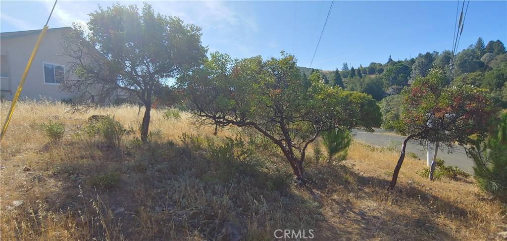 Kelseyville, CA 95451,9911 Emerald DR