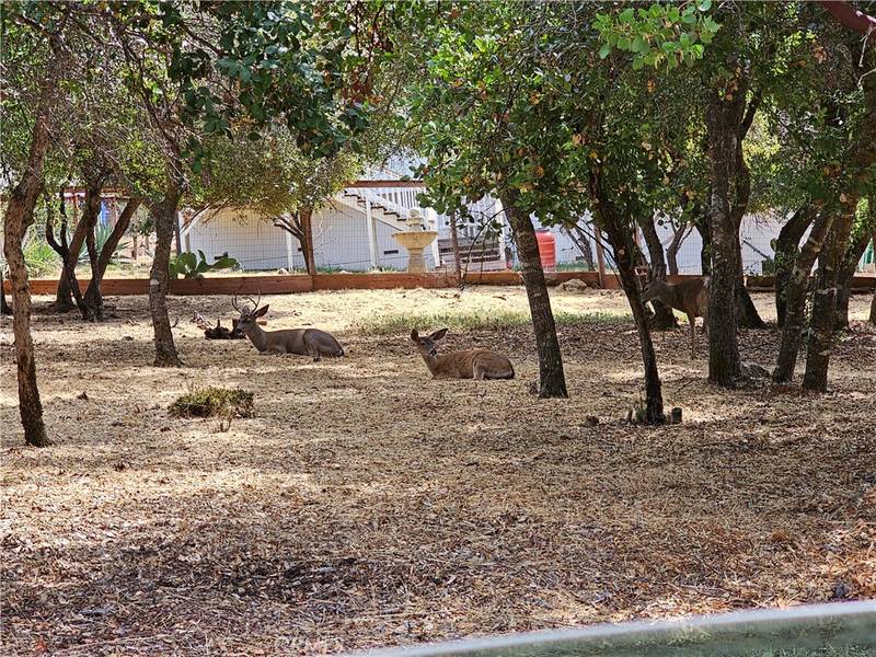 9717 Mount Hood WAY, Kelseyville, CA 95451