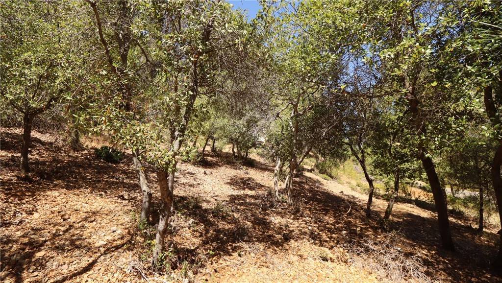 Kelseyville, CA 95451,8157 Broadview DR