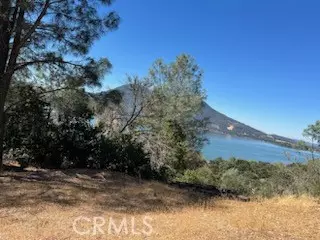 Clearlake Oaks, CA 95423,Address not disclosed