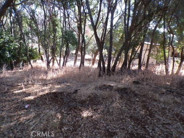 Kelseyville, CA 95451,10694 edgewater DR