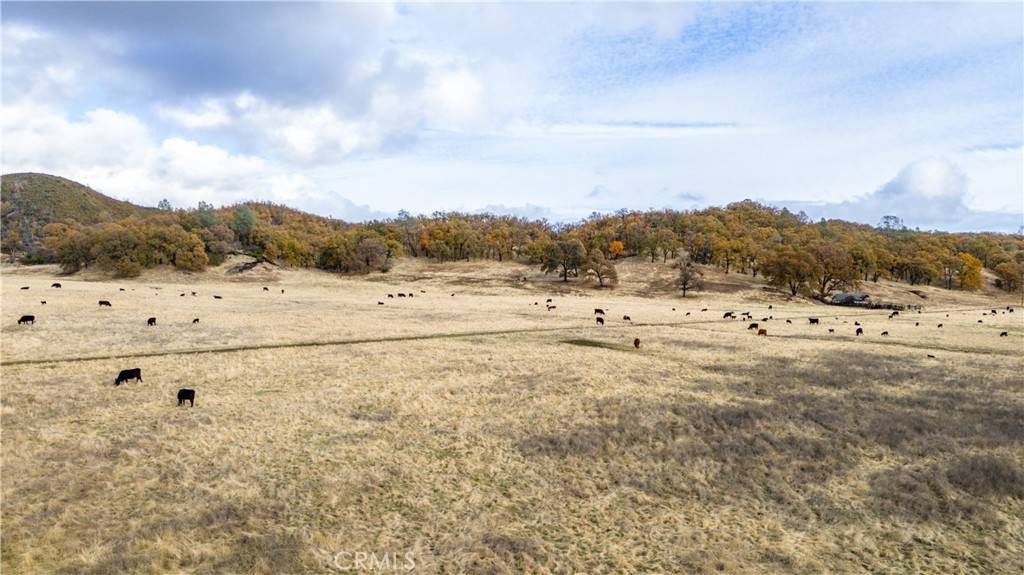 Lower Lake, CA 95457,11158 Rocky Creek RD