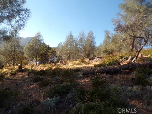 Kelseyville, CA 95451,10070 El Capitan