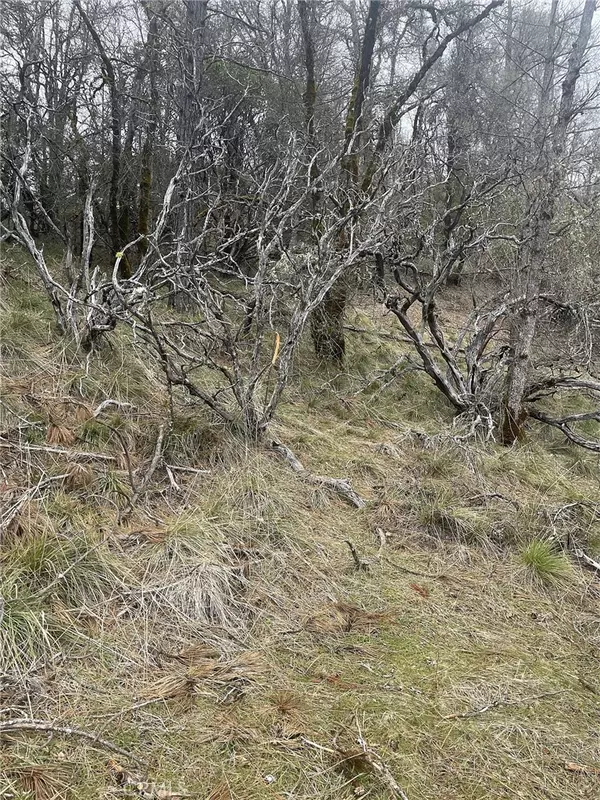 Loch Lomond, CA 95461,9660 Harrington Flat RD