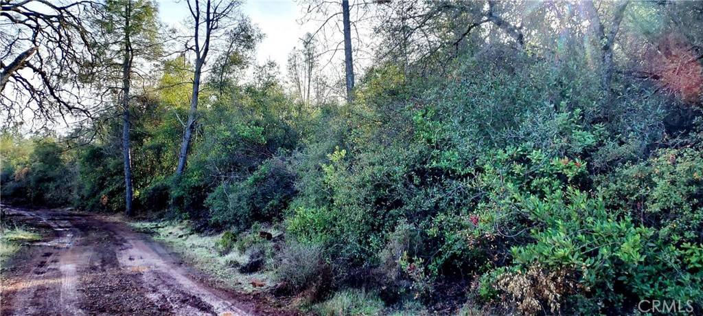 Lower Lake, CA 95457,15151 Gray Pine RD