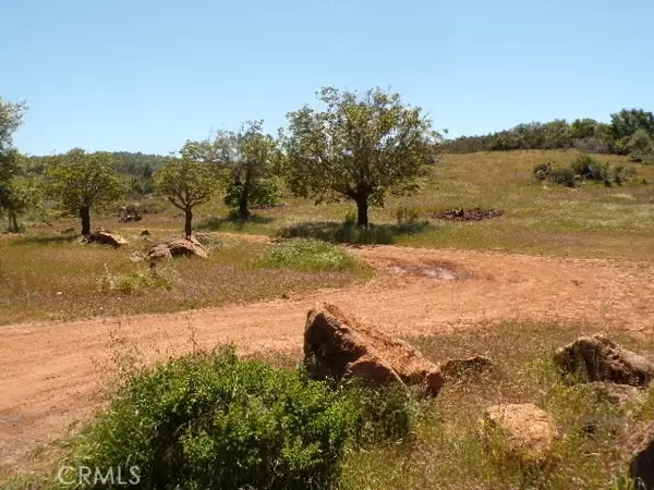 Kelseyville, CA 95451,10929 point lakeview RD