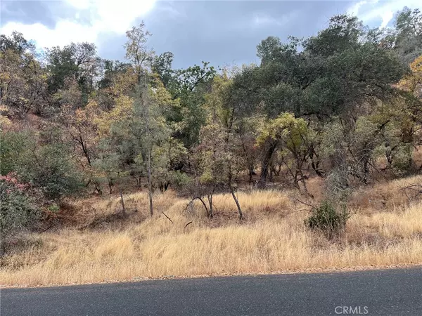 Clearlake, CA 95422,11285 North DR