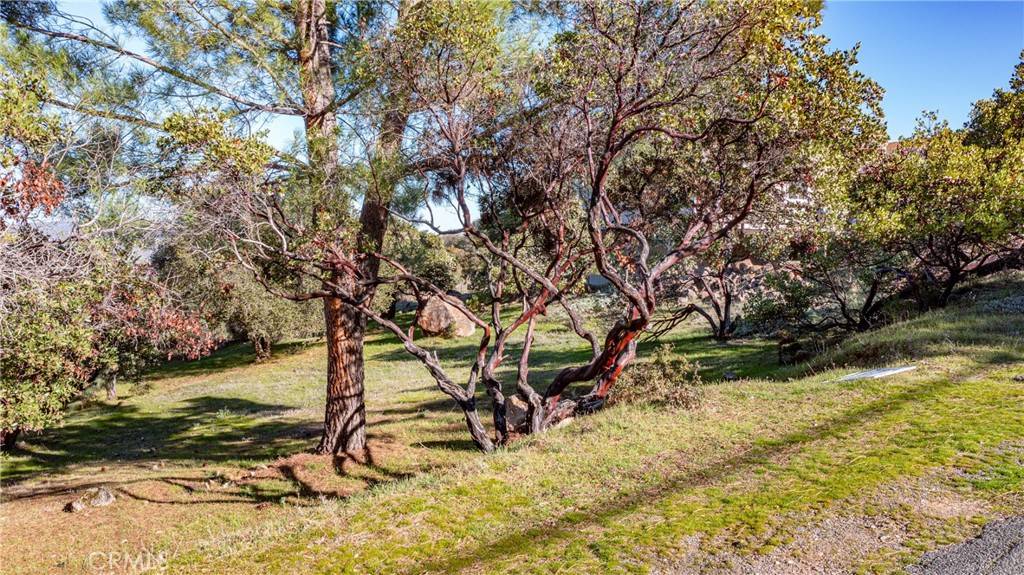 Kelseyville, CA 95451,4587 Hawaina Way