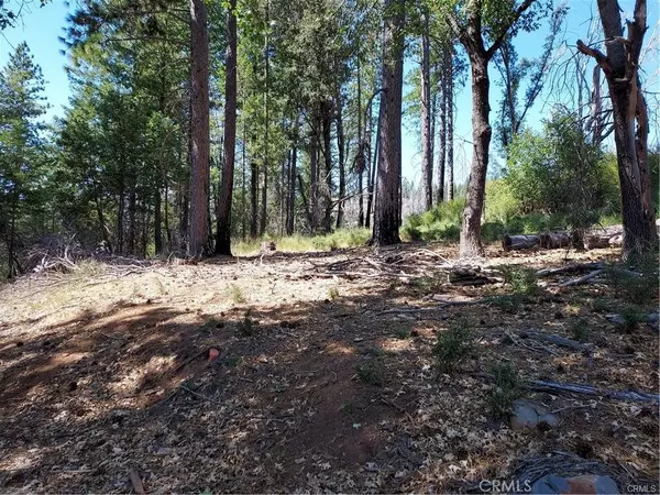 Cobb, CA 95426,16102 Sugar Pine Ridge RD