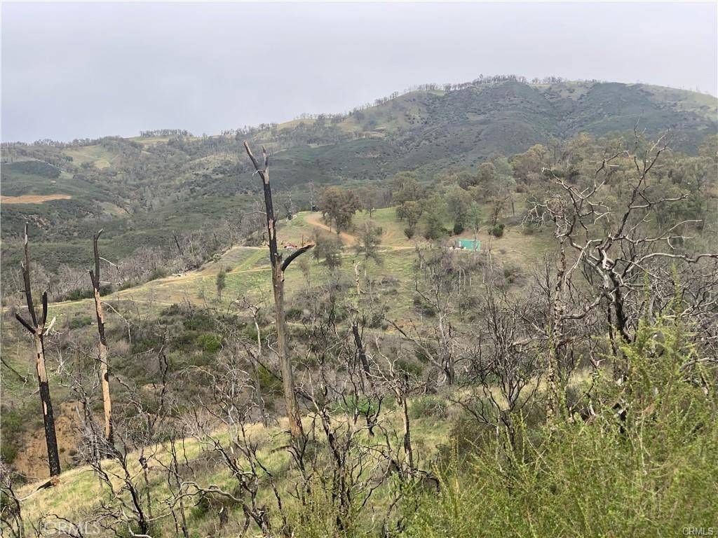 Lower Lake, CA 95457,10885 Sky High Ridge RD