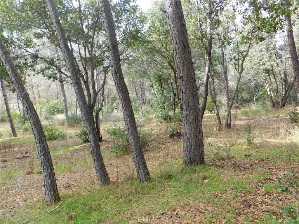 Clearlake, CA 95422,5834 Spruce AVE