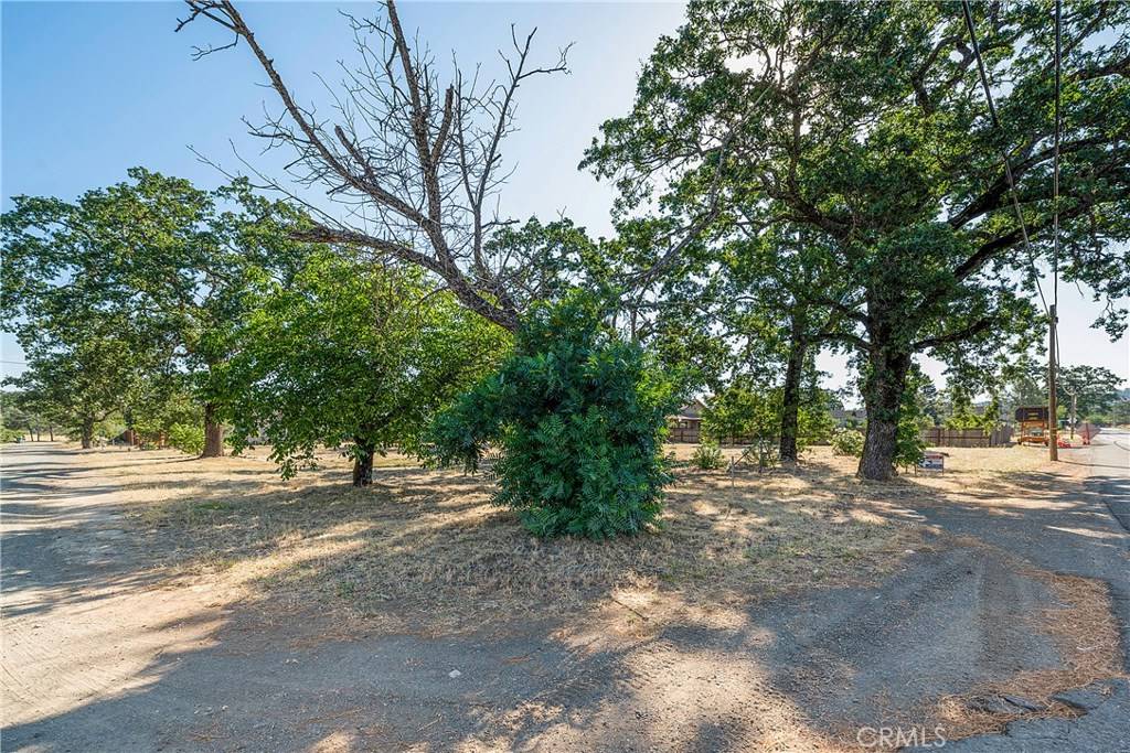 Middletown, CA 95461,21102 Park AVE