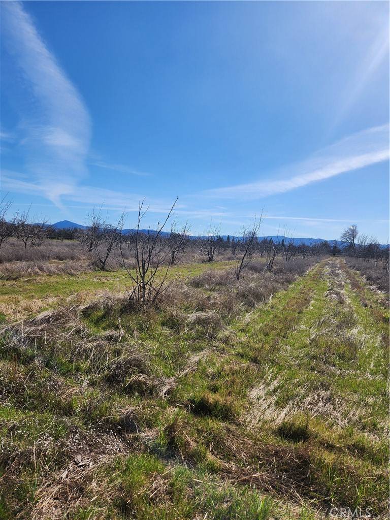 Lakeport, CA 95453,1665 Big Valley RD