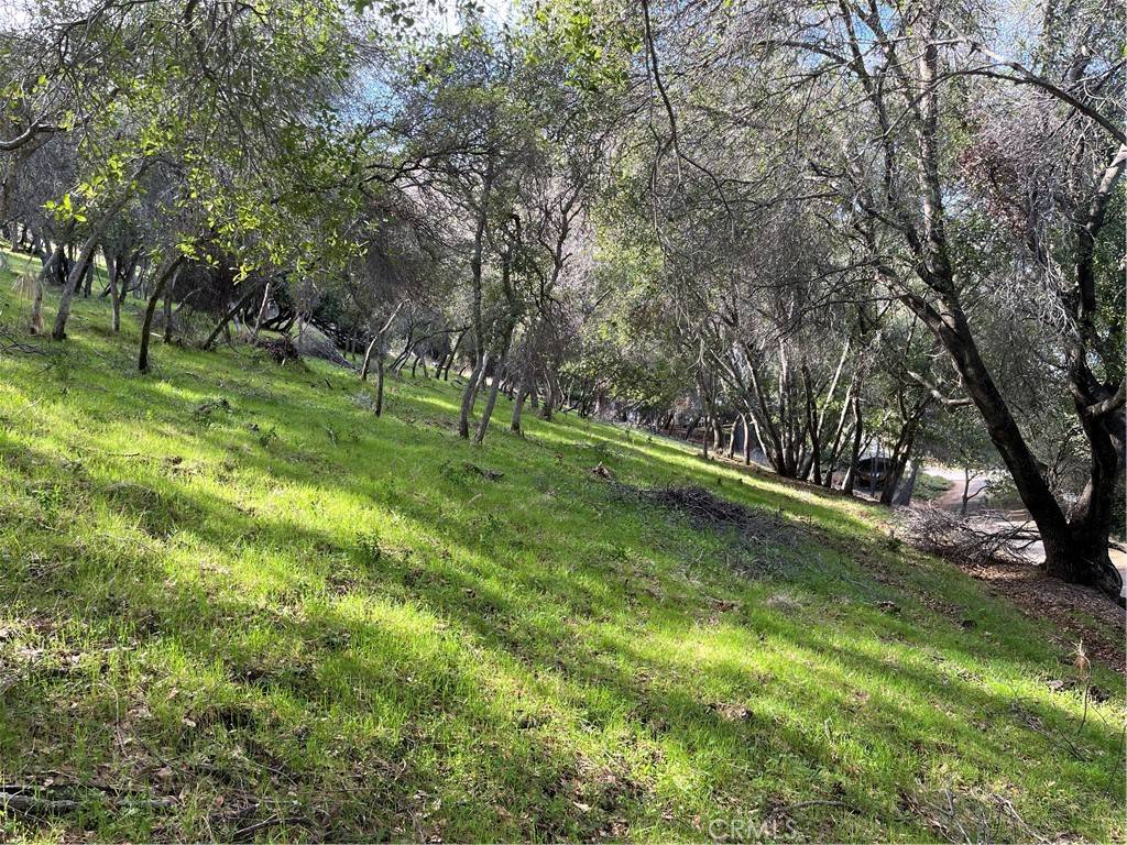 Kelseyville, CA 95451,8452 Soda Bay RD