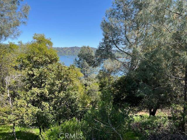 8444 Soda Bay RD, Kelseyville, CA 95451