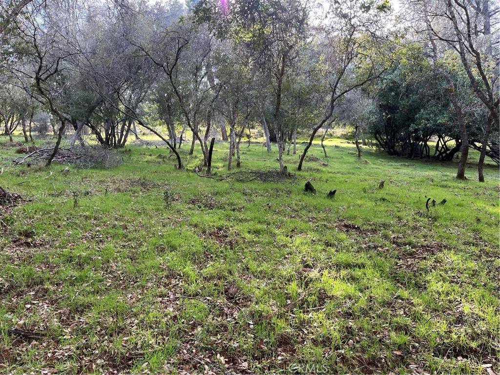 Kelseyville, CA 95451,8444 Soda Bay RD