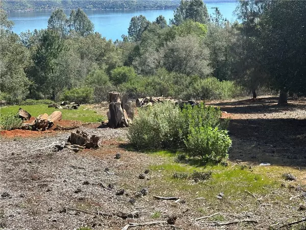 Kelseyville, CA 95451,3648 Shoreline View WAY